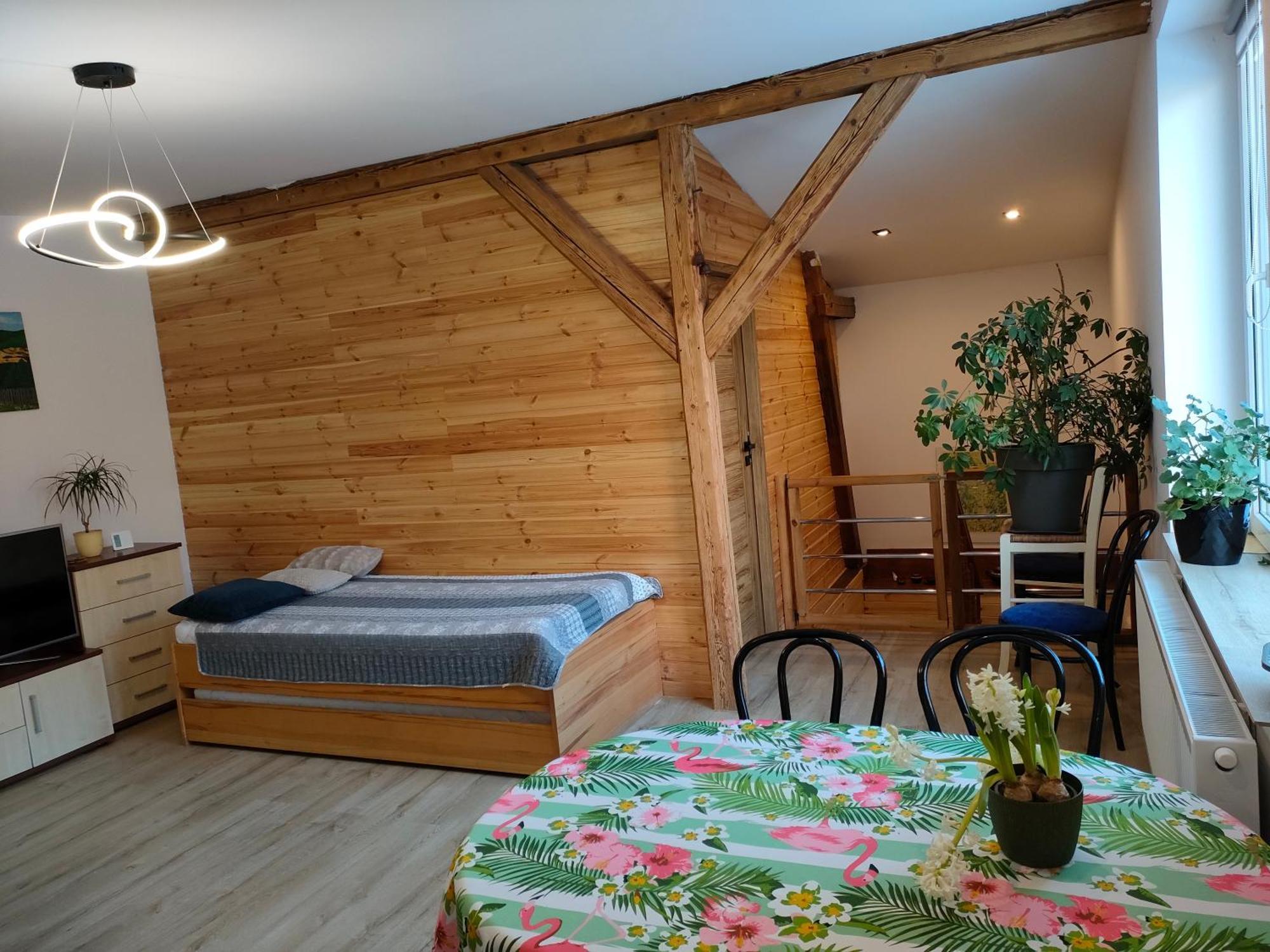 Apartmán Aparament Brzozowisko Zelazno  Pokoj fotografie